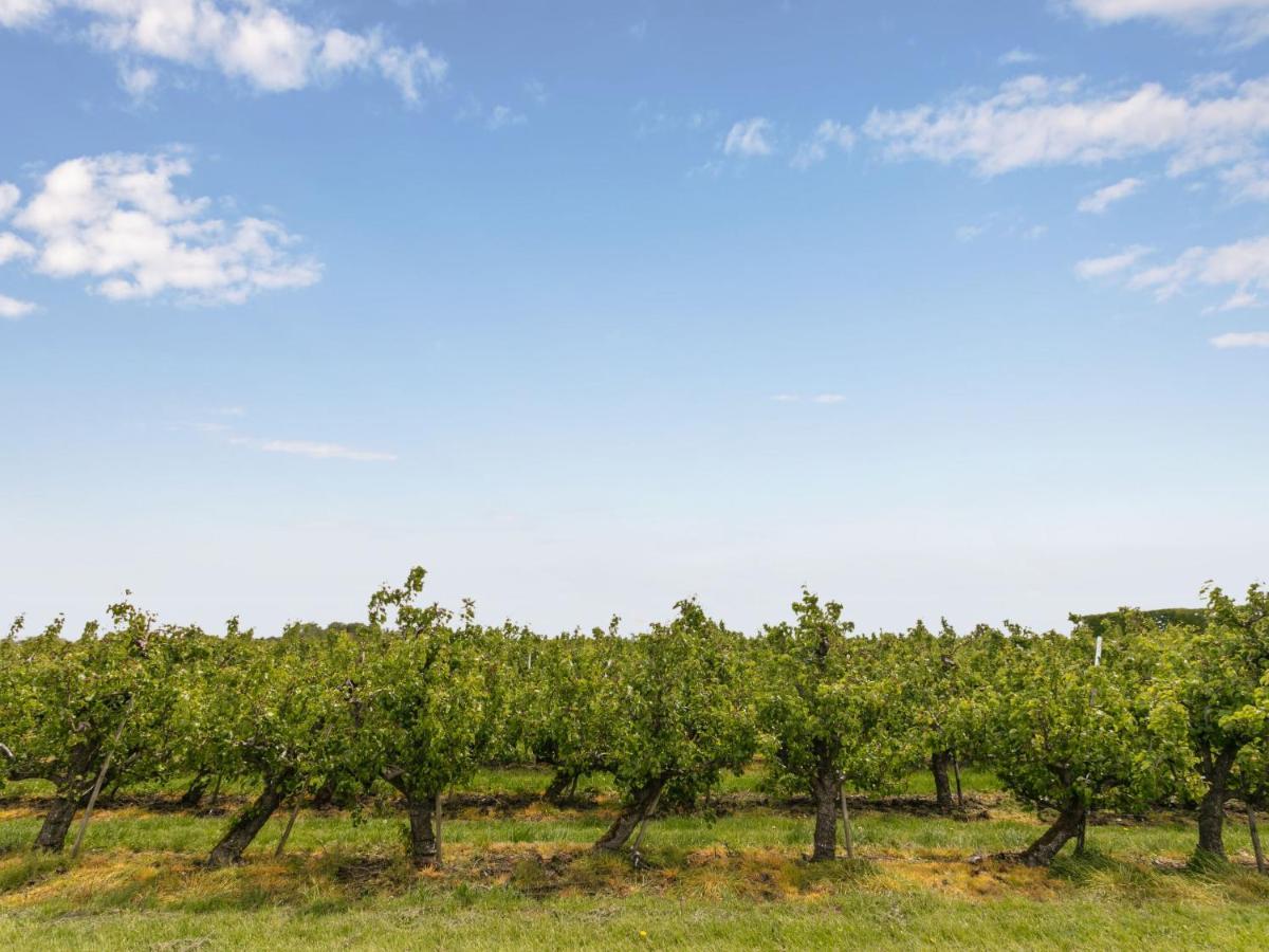 Groepswoning De Appelgaard By Interhome Holiday home *
